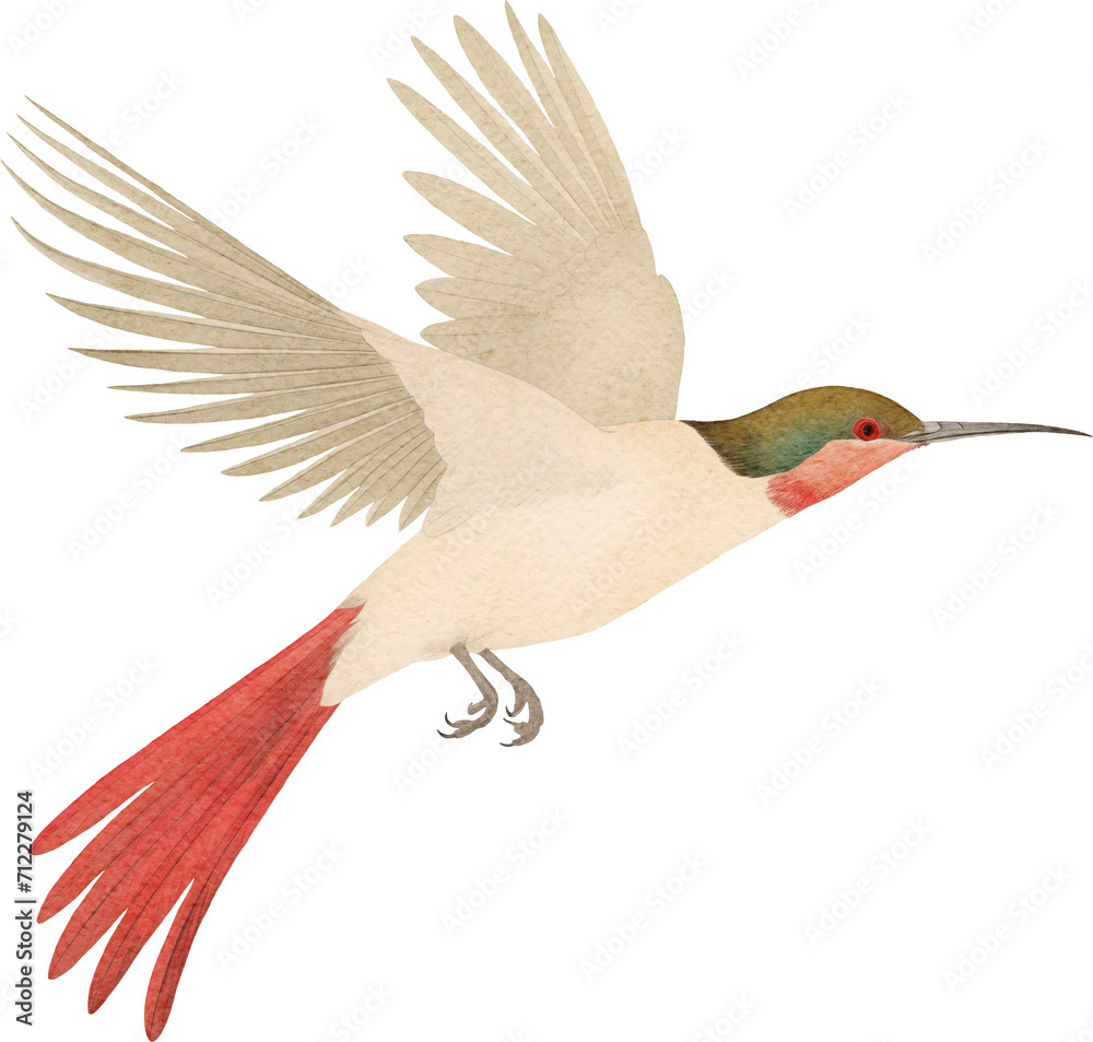 Poster flying tropical little bird created with generative ai technology
