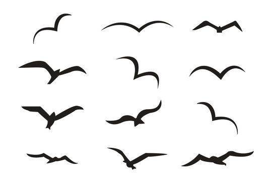 Vector illustration flying flock of birds. Beautiful flight bird silhouettes collection.