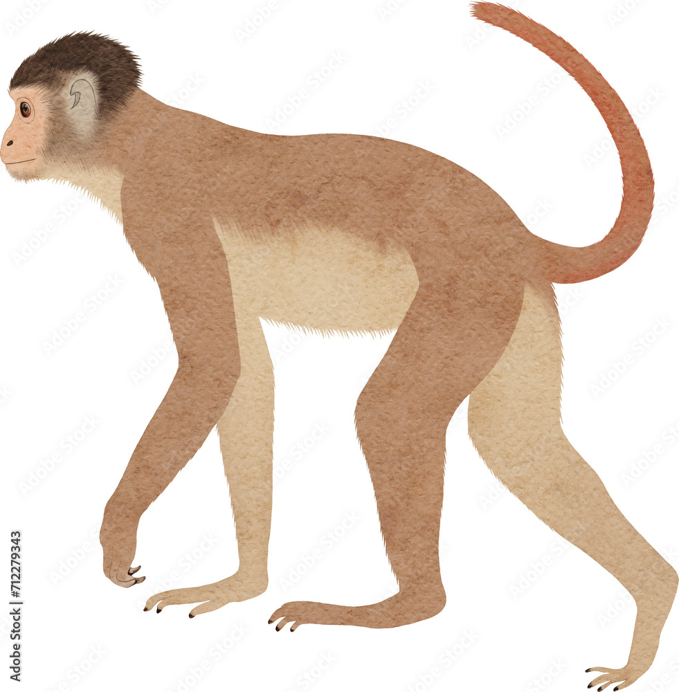 Poster Monkey illustration created with Generative AI technology
