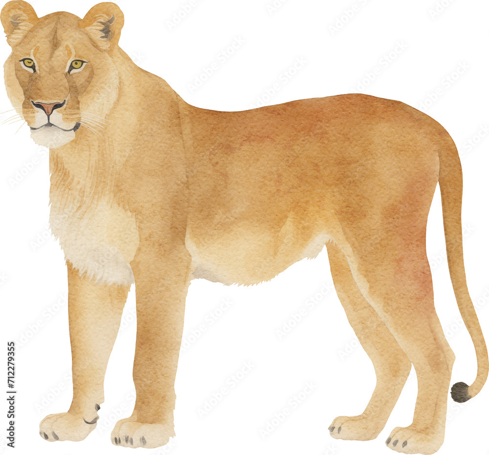 Poster Lioness illustration created with Generative AI technology