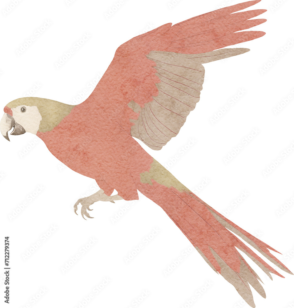 Poster ara parrot illustration created with generative ai technology