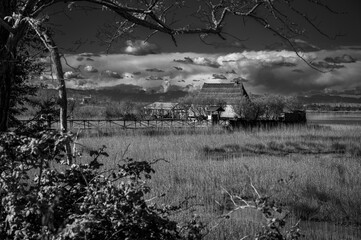 Nature and ancient Casoni in the Caorle lagoon.