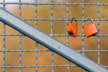 Red locks with hearts chained to a fence as a symbol of love and solidarity on Valentine's Day.