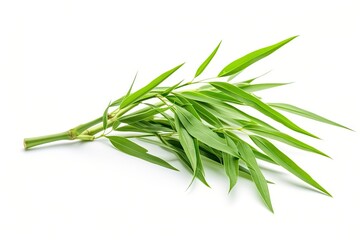 Fototapeta premium Green bamboo leaves on white background
