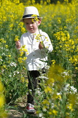 A little boy in a rapeseed field.