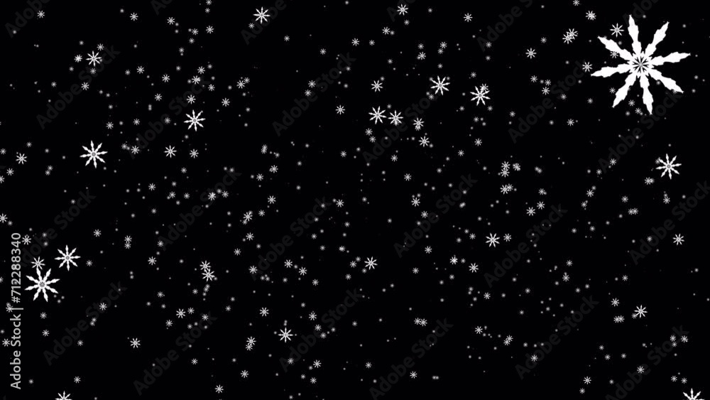 Wall mural beautiful loop falling moving white starflakes particles animaiton on black abstract background. iso