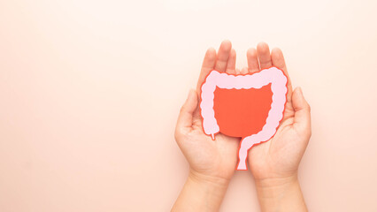 Hand holding large intestine organ made form paper on beige background. Concept of healthy bowel...