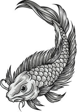 recommend clip art: Koi fish doodle drawing hand drawn on chalkboard texture