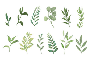 Set of watercolor green leaves elements. Collection botanical vector isolated on white background suitable for Wedding Invitation, save the date, thank you, or greeting card. - obrazy, fototapety, plakaty