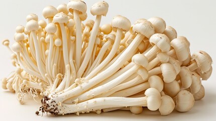 enoki mushrooms on a white background
