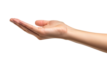 Human palm isolated on white transparent background 