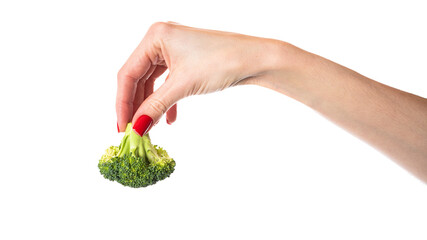 Female hand holds broccoli, isolated on white background