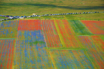 Castelluccio di Norcia, campi fioriti