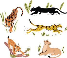 Collection of vector illustrations of big wild cats (tiger, jaguar, panther, lioness, lynx, bobcat, leopard) isolated on white background