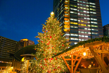 恵比寿のクリスマスツリー