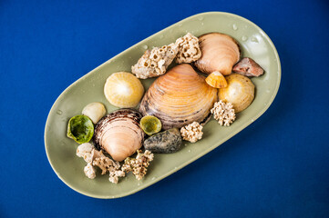 Shell and piece of nordic coral on green bowl, Lofoten.