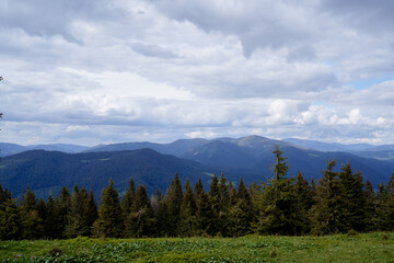 Fototapeta na wymiar Beautiful mountains landscape with green forest. Carpathians, Ukraine.