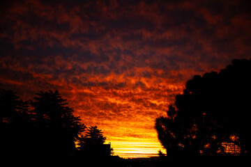 Por do sol, céu de cor vermelho, nuvens e silhueta de árvore. 