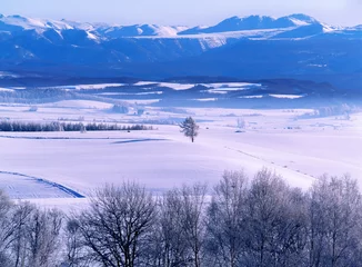 Tuinposter 凍てついた朝の風景（美瑛町） © itoh masako