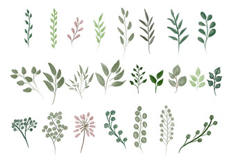 isolated png set of leaves 