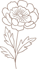 Line Drawing Flower