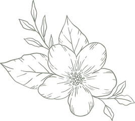 Line Drawing Flower