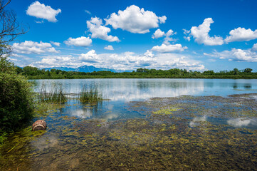 In nature. Lake San Daniele and Ragogna. Friuli - 712320308