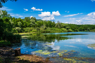 In nature. Lake San Daniele and Ragogna. Friuli - 712320367