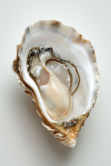 Oysters on a white background close-up