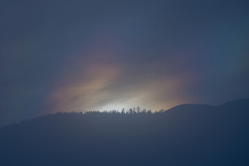 mystical sunrise over the mountains with a colorful light, fog and tree silhouettes