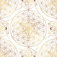 Pattern of Sacred Geometry Symbol. Vector illustration. Mystic esoteric Flower of Life. Golden Seed of life. Mandala lotus flower