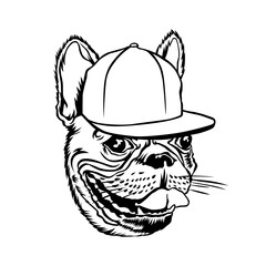 Dog, dog wearing a hat, Dog Happy, Dog Funny, Dog Cute, Dog Lover