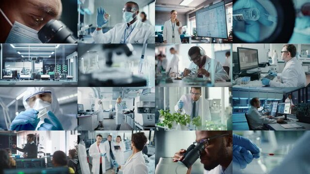 Split Screen Montage of High-Tech Research Laboratories where Scientists Making Breakthrough Discoveries. Production, Manufactury, Medicine, Bio Technology in Lab. Concept of Scientific Progress 