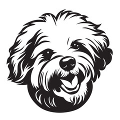 Bichon frise, happy Dog, Funny Dog, Cute Dog, Dog lover, Pet, Animal, Family, love