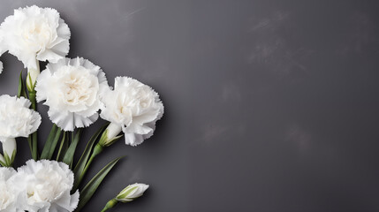 Minimalist Sympathy Condolences card. Carnations flowers on a muted grey background. Funeral concept. Copy space	
