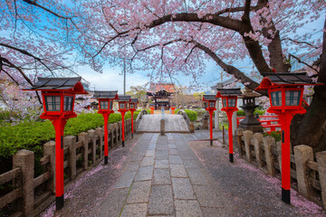 Fototapeta na wymiar Rokusonno shrine built in 963, enshrines MInamota no Tsunemoto the 6th grandson of Emperor Seiwa. It's one of the best cherryblossom viewing spots in Kyoto
