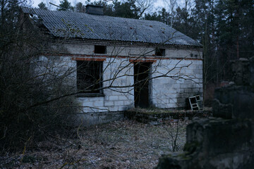 opuszczony dom po środku lasu, pustostan - obrazy, fototapety, plakaty
