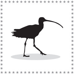 Curlew Silhouette, cute Curlew Vector Silhouette, Cute Curlew cartoon Silhouette, Curlew vector Silhouette, Curlew icon Silhouette, Curlew vector																									