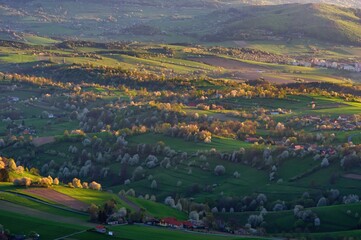 Beautiful countryside around Hrinova city with green fields, blooming cherry trees and white church on the top of th hill. Amazing spring landscape of Podpolanie region, Slovakia. 