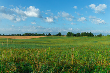 Fields, meadows and blue sky