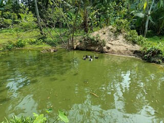 Natural beauty of kerala Stock Photos and Images