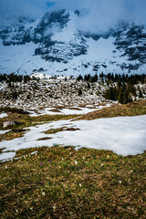 Snow on Mount Canin and Montasio. Spring snow