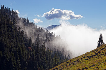 Rolling fog in the Bavarian Alps, near Heimgarten mountain, Germany, Europe