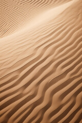 Fototapeta na wymiar abstract texture line wave in oman the old desert and the empty quarter