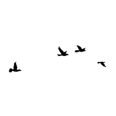 Flying Bird Silhouette