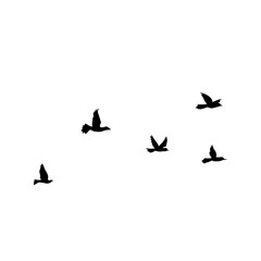 Flying Bird Silhouette