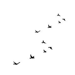 Flying Bird Silhouette