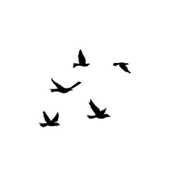 Flying Bird Silhouette