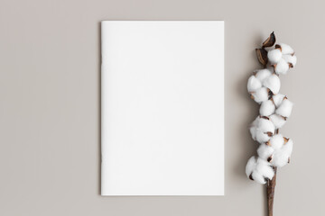 Magazine mockup with a cotton branch on the beige table.