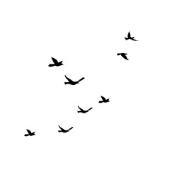 Flying Bird Silhouette